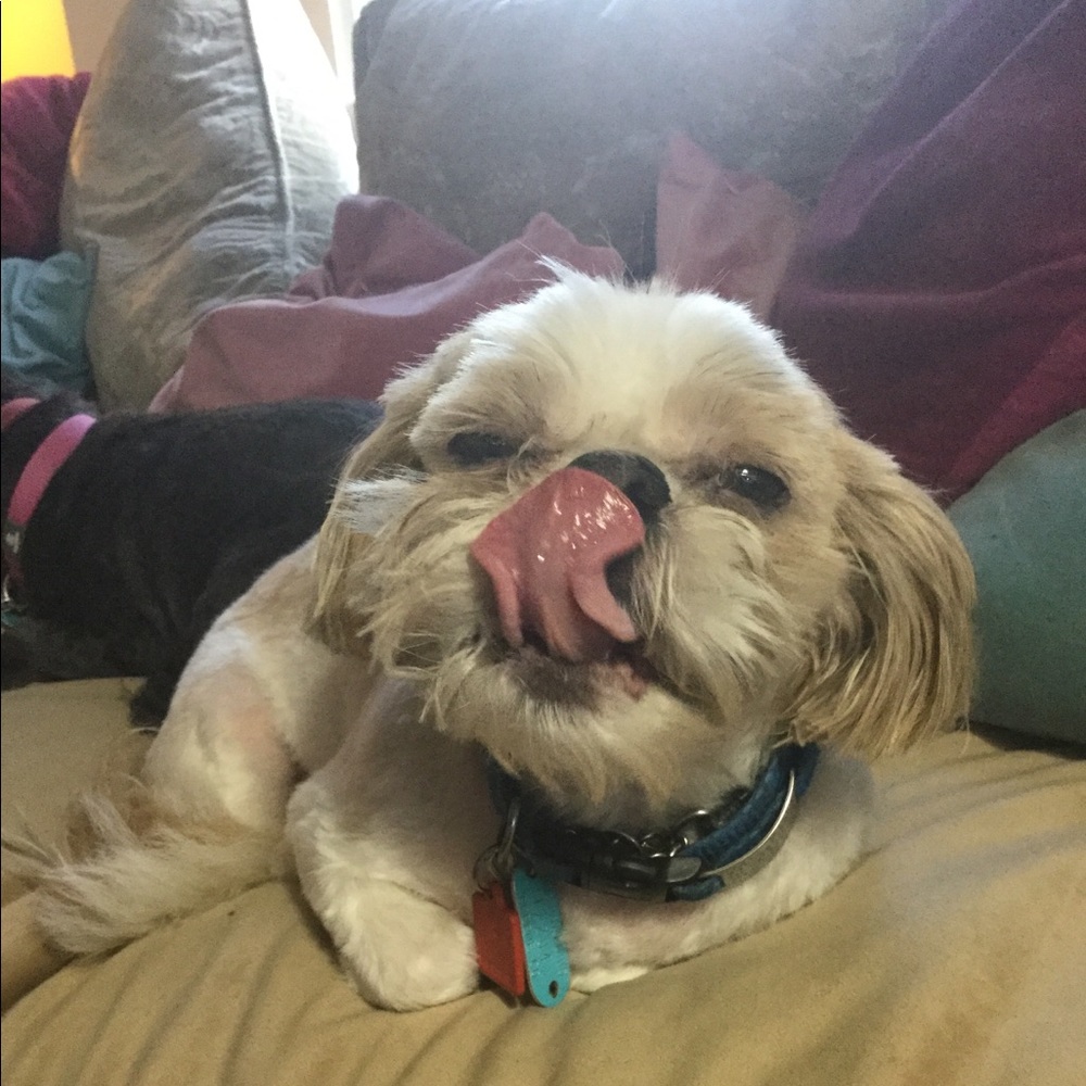 Meet your Posher, MudPuppy